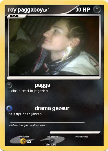 Pokemon roy paggaboy