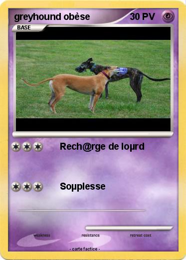 Pokemon greyhound obèse