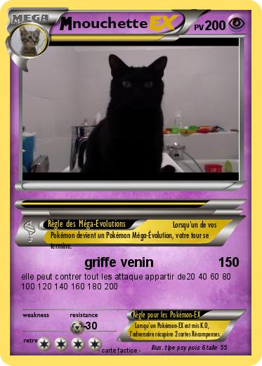 Pokemon nouchette