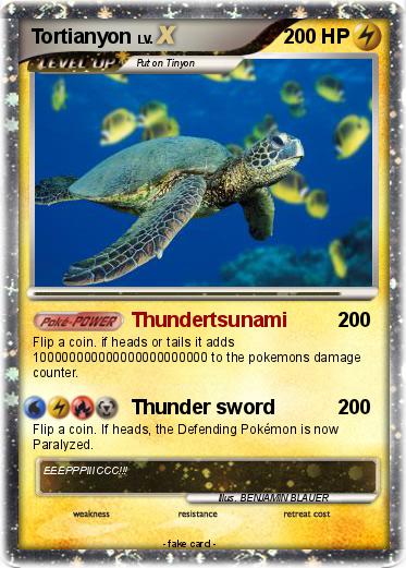 Pokemon Tortianyon
