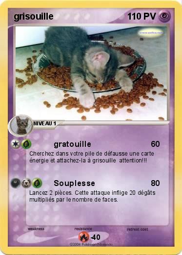 Pokemon grisouille