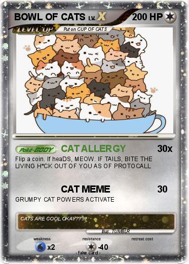 Pokemon BOWL OF CATS