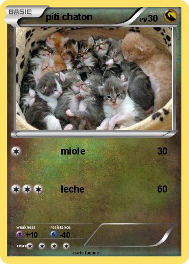Pokemon piti chaton