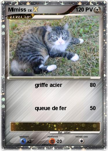 Pokemon Mimiss