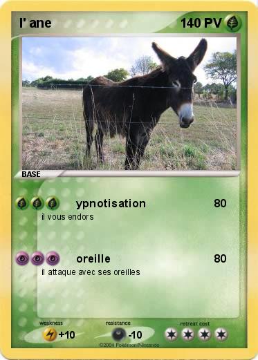 Pokemon l' ane