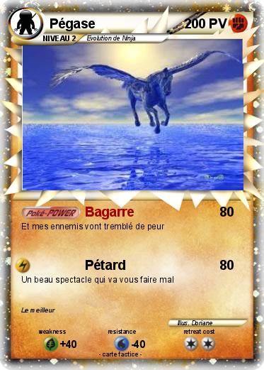 Pokemon Pégase
