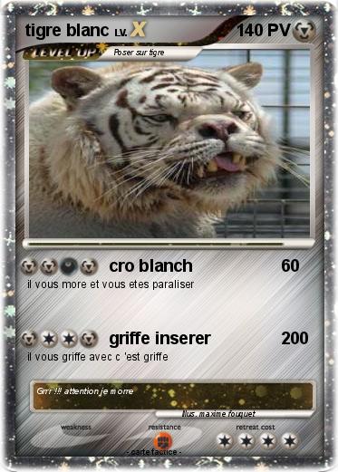 Pokemon tigre blanc
