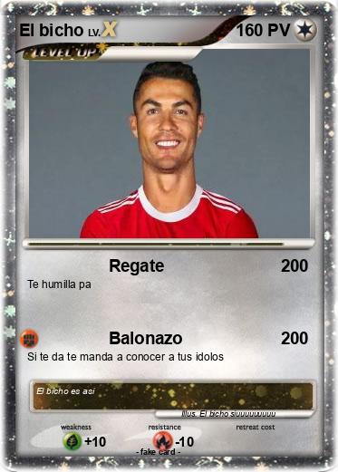 Pokemon El bicho