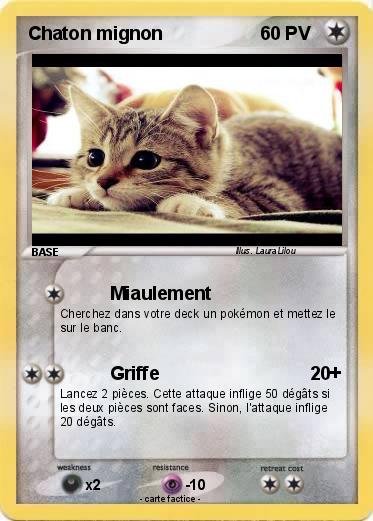 Pokemon Chaton mignon