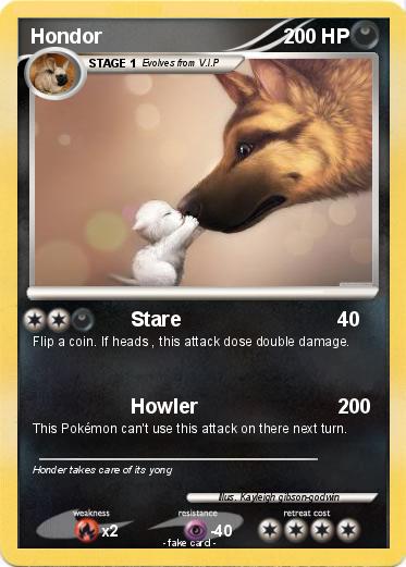 Pokemon Hondor