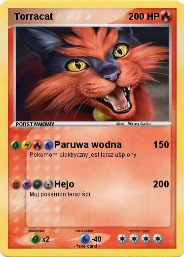 Pokemon Torracat