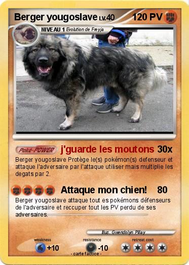 Pokemon Berger yougoslave