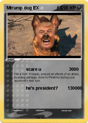 Pokemon Mtrump dog EX               65