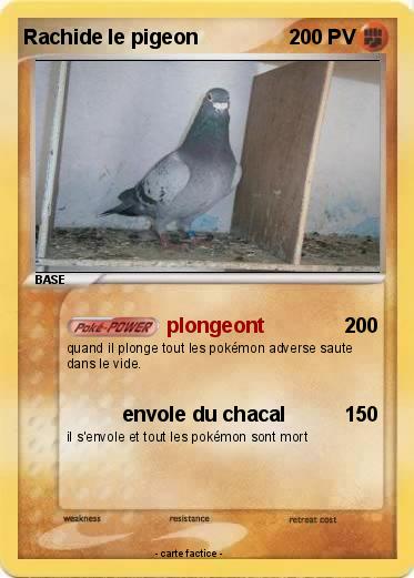Pokemon Rachide le pigeon