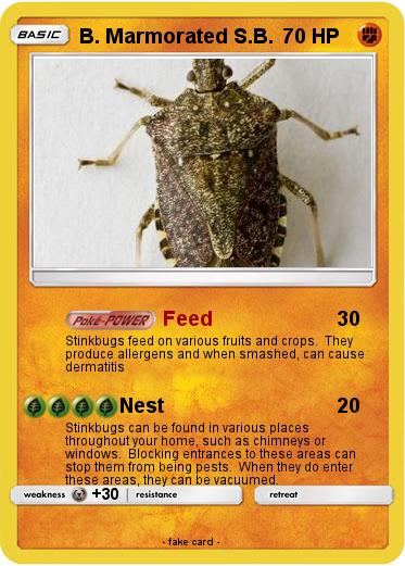 Pokemon B. Marmorated S.B.