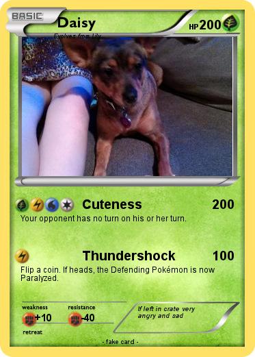 Pokemon Daisy