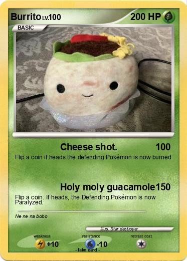 Pokemon Burrito