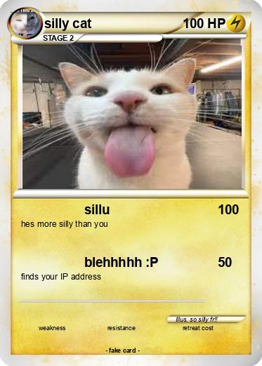 Pokemon silly cat