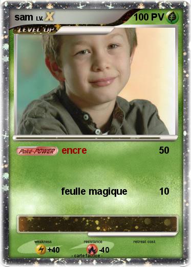 Pokemon sam