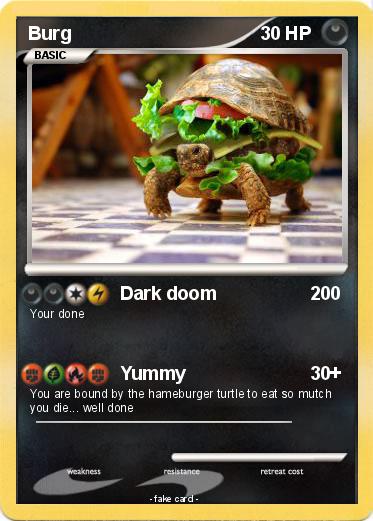 Pokemon Burg