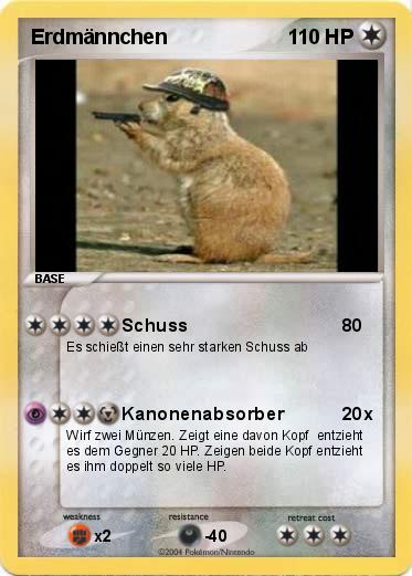 Pokemon Erdmännchen