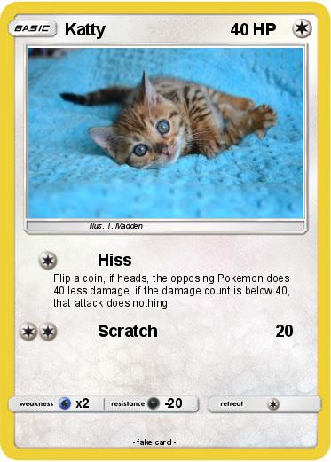 Pokemon Katty