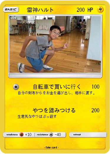 Pokemon 　雷神ハルト