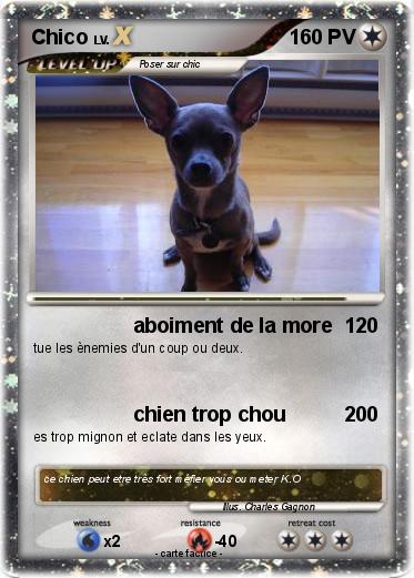 Pokemon Chico