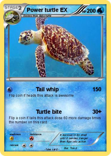 Pokemon Power turtle EX