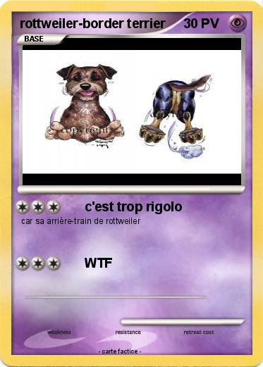 Pokemon rottweiler-border terrier