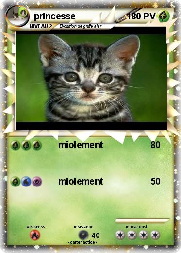 Pokemon princesse