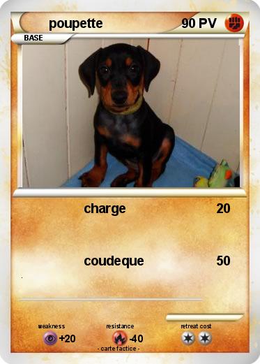 Pokemon poupette