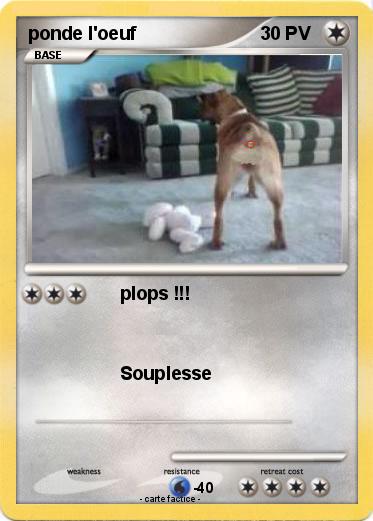 Pokemon ponde l'oeuf