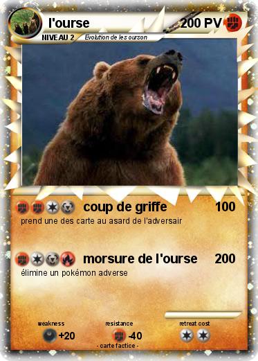 Pokemon l'ourse