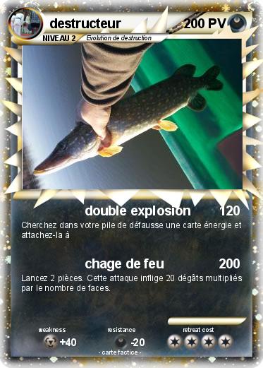 Pokemon destructeur