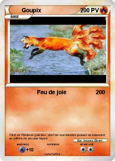 Pokemon Goupix