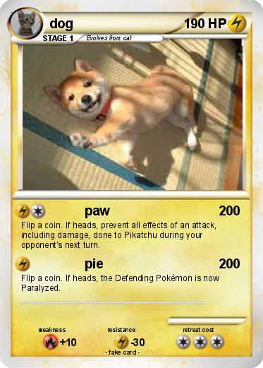 Pokemon dog