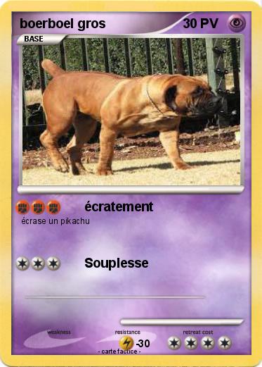 Pokemon boerboel gros