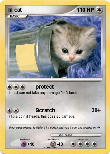Pokemon lil cat