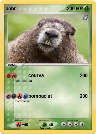 Pokemon bobr