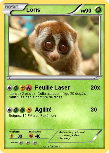 Pokemon Loris