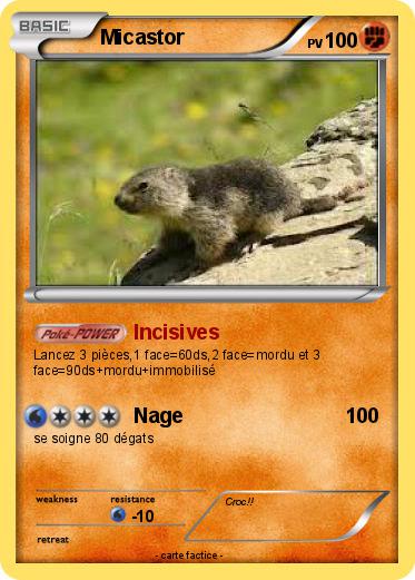 Pokemon Micastor