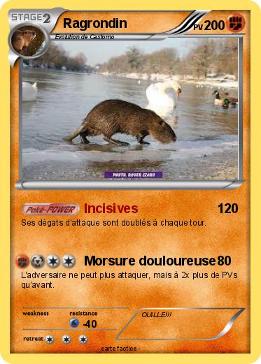Pokemon Ragrondin