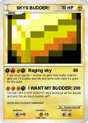 Pokemon SKYS BUDDER!