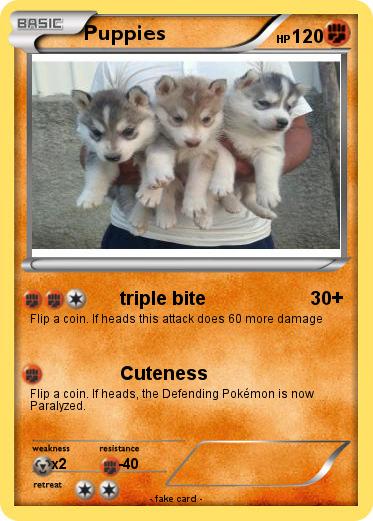 Pokemon Puppies