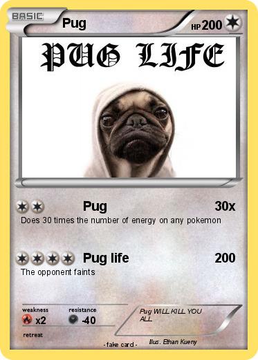 Pokemon Pug