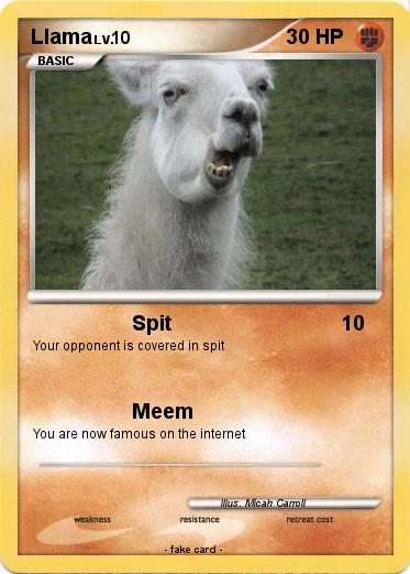 Pokemon Llama