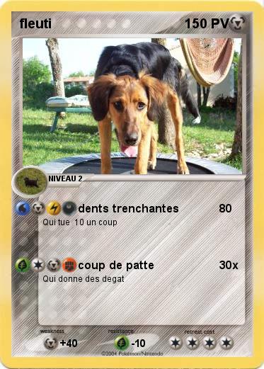 Pokemon fleuti