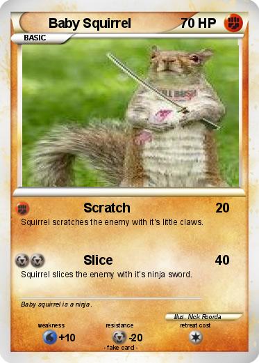 Pokemon Baby Squirrel