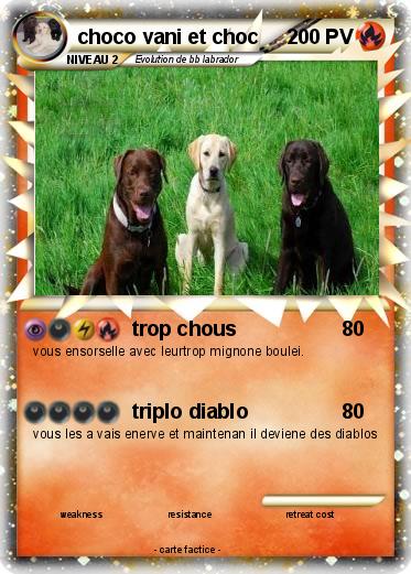 Pokemon choco vani et choc